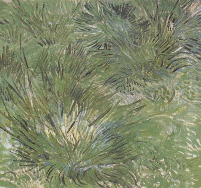 Vincent Van Gogh Clumps of Grass (nn04) china oil painting image